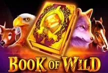 Book of Wild (1spin4win)