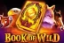 Book of Wild (1spin4win)