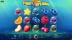 Fruit Splash (Rival Gaming)