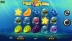 Fruit Splash (Rival Gaming)