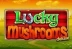 Lucky Mushrooms Deluxe (StakeLogic)