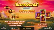 Bison Wilds DoubleMax