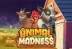 Animal Madness (Play&#039;n GO)