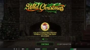 Wild Christmas