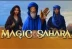 Magic of Sahara (All41 Studios)