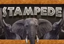 Stampede