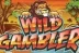 Wild Gambler (Playtech)