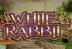 White Rabbit (Big Time Gaming)