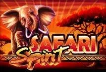 Safari Spirit (Ainsworth)
