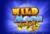 Wild Moon (StakeLogic)
