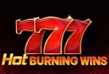 Hot Burning Wins (Playson)