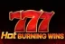 Hot Burning Wins (Playson)