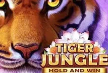 Tiger Jungle Hold and Win (3 Oaks Gaming)