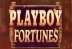 Playboy Fortunes (Gameburger Studios)
