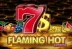 Flaming Hot Extreme (EGT)