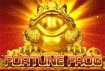 Fortune Frog