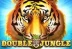 Double Jungle (Skywind Group)