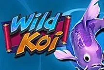 Wild Koi (Eyecon)