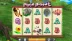 Piggy Payout (Eyecon)