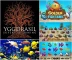 Golden Fish Tank (Yggdrasil Gaming)