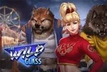The Wild Class (Play&#039;n GO)