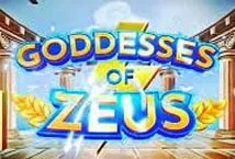 Goddesses of Zeus (Popok Gaming)