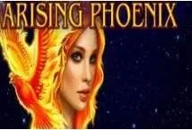 Arising Phoenix (Amatic Industries)