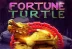 Fortune turtle (Genesis)