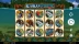 Alaskan Fishing (Microgaming)