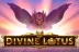 Divine Lotus (Thunderkick)