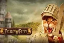 Feline Fury (Play&#039;n GO)