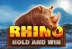 Rhino Hold and Win (Booming Games)