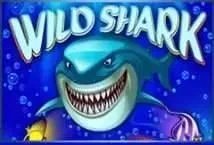 Wild Shark (Amatic Industries)