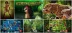 Secrets of the Amazon (Playtech)