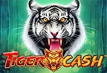 Tiger Cash (Skywind Group)
