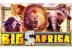Big 5 Africa (7Mojos)