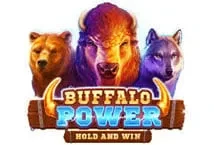 Buffalo Power Hold and Win (Playson)