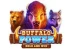 Buffalo Power Hold and Win (Playson)
