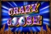Crazy Goose (Ainsworth)