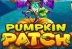 Pumpkin Patch (Habanero)