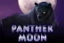 Panther Moon (Playtech)