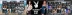 Playboy (Microgaming)