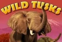 Wild Tusks (High 5 Games)