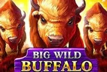 Big Wild Buffalo (Belatra Games)