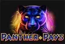 Panther Pays (Playtech)