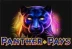 Panther Pays (Playtech)
