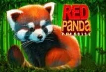 Red panda paradise (Genesis)