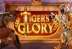 Tiger&#039;s Glory (Quickspin)