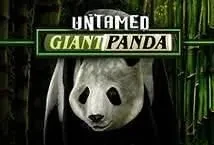 Untamed Giant Panda (Microgaming)