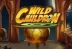 Wild Cauldron (Quickspin)